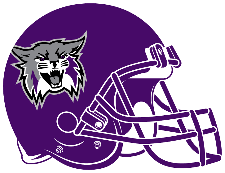 Weber State Wildcats 2012-Pres Helmet t shirts iron on transfers